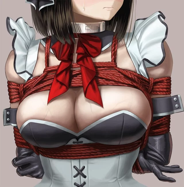 I want a maid like this. (Couldn't find a further zoomed out picture :(, sorry).