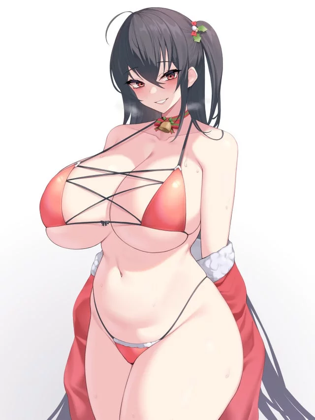 Merry Christmas and Happy New Year from Taihou