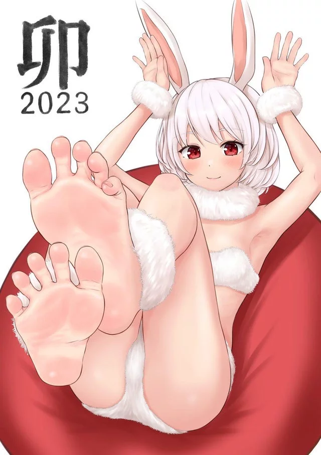 2023-Year of the rabbit [OC By: Hinosaki2nd]