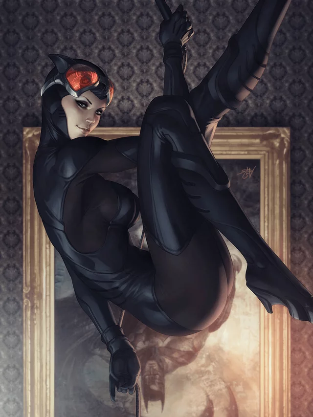 Catwoman Drops In (Stanley lau ) [DC]