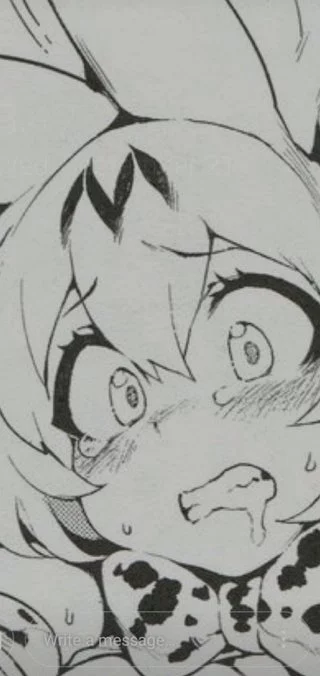 i have had this as a screensaver but i cannot find the sauce to this. All i know is the character is Serval from Kemono Friends any help finding the sauce would be appreciated.