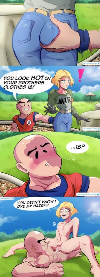 Android 17 and 18 are very VERY difficult to tell the difference sometimes (EvilTQF)