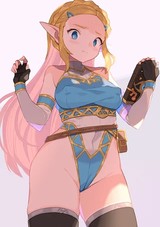 Zelda Highleg Leotard Embarrassment (Spring2013 ) [The Legend Of Zelda]