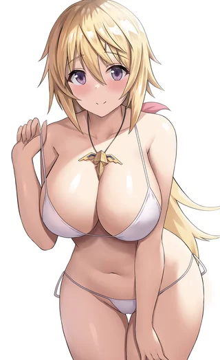 Charlotte Dunois in Bikini [Infinite Stratos]