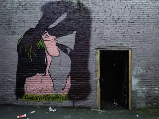 Fanservice Wall Art (CreamiGraffiti)