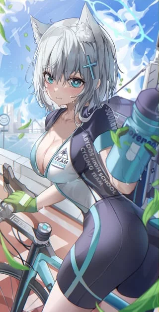 Shiroko [Blue Archive]