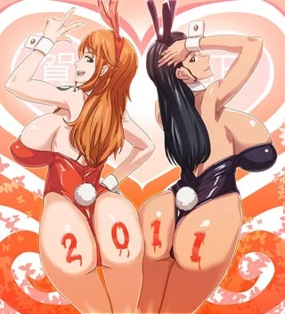 Nami and Robin (ウサ太郎)