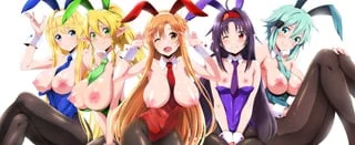 Yuuki Asuna, Kirigaya Suguha, Asada Shino, Konno Yuuki and Alice Zuberg (AirAndo) [Sword Art Online]