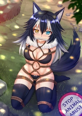 I want to adopt a new kitten! 🥺
