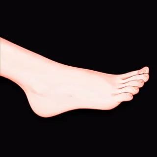 Feet are perfect creation