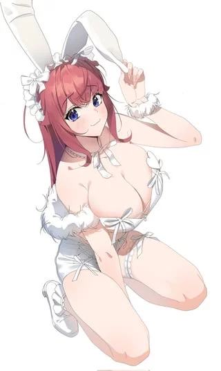 White Bunnysuit (Boninit)