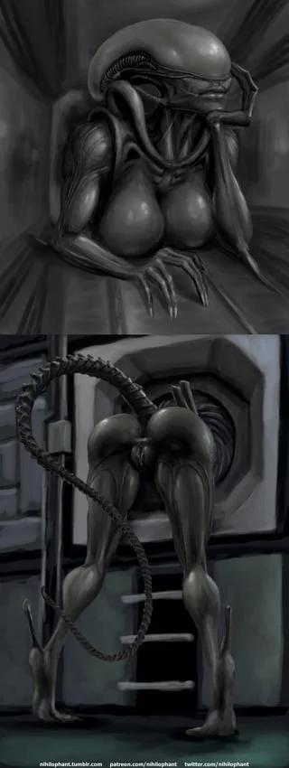 A Xenomorph's figure makes it difficult to sneak around (Nihilophant) [Alien]