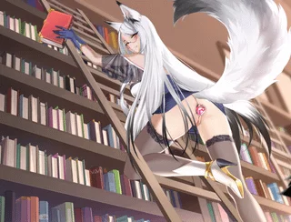 Librarian Cruella (TopHouse Family) [WANDERER]