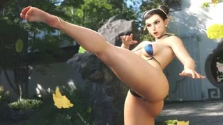 Chun-Li High Kick (Zeta Saint) [Street Fighter]