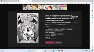 anyone knows if there's an English version.