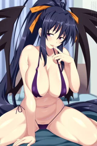 Akeno Himejima [High School DxD]