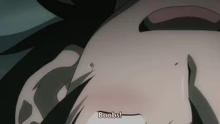 No mixed signals here [High School DxD New]