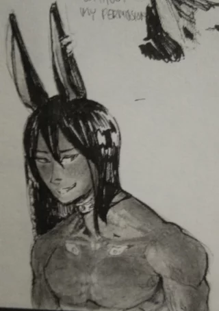 I don\'t have an actual image from the panel. Only this sketch I drew of the MC in the plot.
