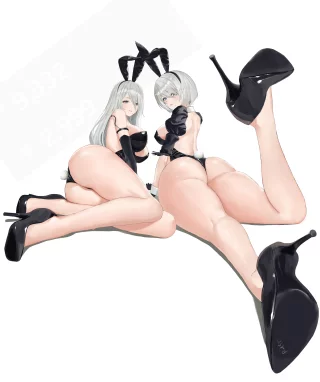 2B A2 (asrd)[nier automata]