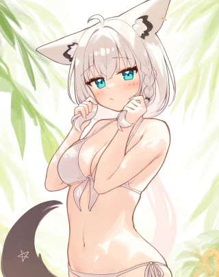 Shirakami Fubuki (deaver2025) [Hololive]