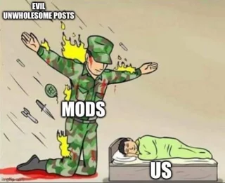 I want to thank the mods