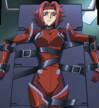 I blame [Code Geass] for unlocking that final bit of my brain and getting me into bondage