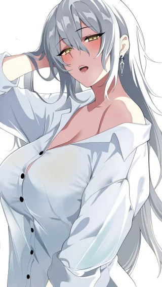 Boyfriend Shirt Jalter