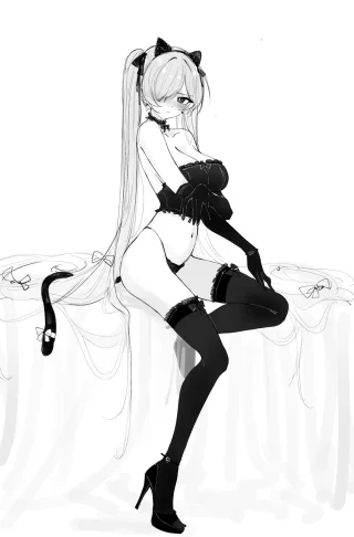 Cinderella in lingerie (Feint)
