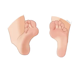 Feet rendering practice [Erosaur]