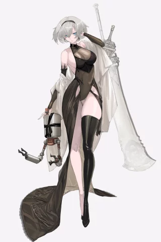 2B [Nier Automata]